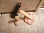 tlchargement1.jpeg