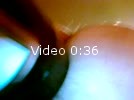 Video amateur