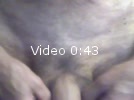 Video amateur