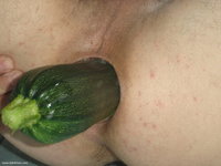 Zucchini