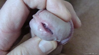 Photo amateur