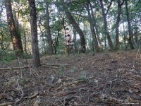 Photo amateur