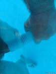 Photo amateur