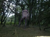 Photo amateur