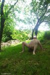 Photo amateur