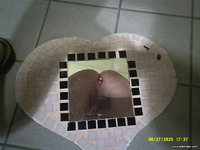 Photo amateur