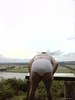 Photo amateur