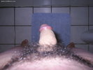 Photo amateur