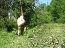 Photo amateur