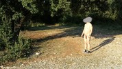 Photo amateur