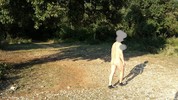 Photo amateur