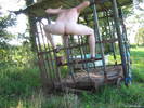 Photo amateur