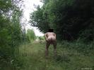 Photo amateur