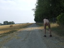 Photo amateur