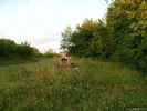 Photo amateur