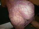 Photo amateur