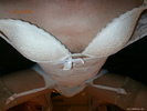 Photo amateur