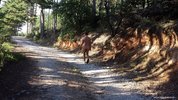 Частное фото