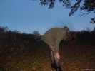 Photo amateur