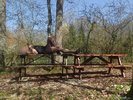 Photo amateur