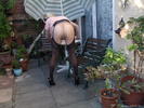 Photo amateur