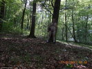 Photo amateur