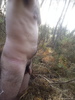 Photo amateur