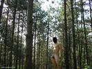 Photo amateur