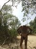 Photo amateur