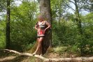 Photo amateur