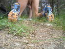 Photo amateur