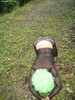 Photo amateur