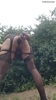 Photo amateur