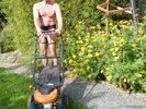 Photo amateur