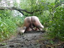 Photo amateur