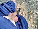 Photo amateur
