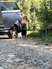 Photo amateur