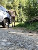 Photo amateur