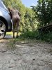Photo amateur