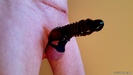 Photo amateur