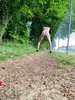 Photo amateur