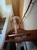 Photo amateur