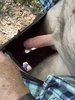 Photo amateur
