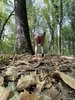 Photo amateur