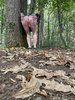 Photo amateur