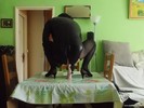 Photo amateur