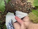 Photo amateur