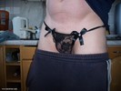 Photo amateur