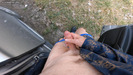 Photo amateur