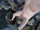 I show myself on the edge of the water